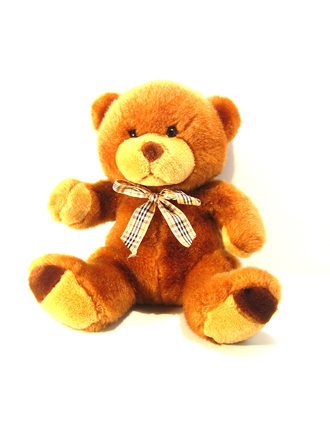 teddy-1406087